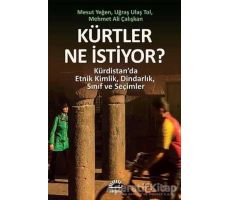 Kürtler Ne İstiyor? - Mesut Yeğen - İletişim Yayınevi