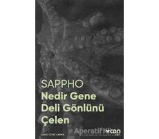 Nedir Gene Deli Gönlünü Çelen - Sappho - Can Yayınları