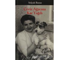 Ceviz Ağacına Kar Yağdı - Selçuk Baran - Yapı Kredi Yayınları
