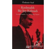 Kırılmadık Bir Şey Kalmadı - Özdemir Asaf - Yapı Kredi Yayınları