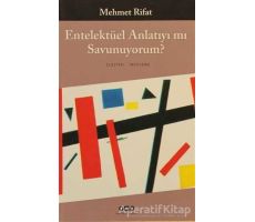 Entelektüel Anlatıyı mı Savunuyorum - Mehmet Rifat - Yapı Kredi Yayınları