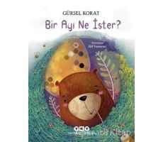 Bir Ayı Ne İster? - Gürsel Korat - Yapı Kredi Yayınları