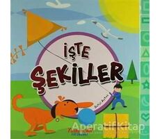 İşte Şekiller - Betül Aytaç - Yumurcak Yayınları