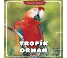 Tropik Orman - Hayvanlar Dünyası - Kolektif - Yumurcak Yayınları