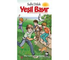 Yeşil Bayır - Sulhi Dölek - Bilgi Yayınevi