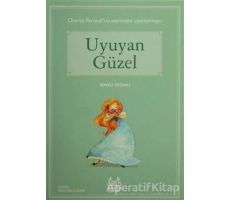 Uyuyan Güzel (Mavi Seri) - Charles Perrault - Arkadaş Yayınları