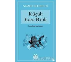 Küçük Kara Balık - Samed Behrengi - Arkadaş Yayınları