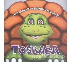 Hayvanlar Aleminin En Yavaşı : Tosbağa - Kolektif - Kukla Yayınları