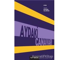 Aydaki Canavar - Richard Kalinoski - Bgst Yayınları