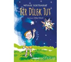 Bir Dilek Tut - Miyase Sertbarut - Tudem Yayınları