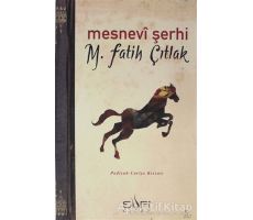 Mesnevi Şerhi - M. Fatih Çıtlak - Sufi Kitap