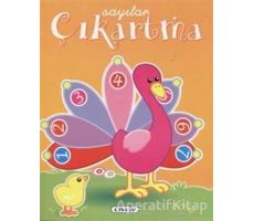 Eğitici Çıkartmalar - Sayılar - Kolektif - Çiçek Yayıncılık