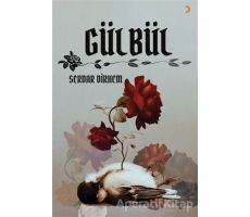 Gülbül - Serdar Dirhem - Cinius Yayınları