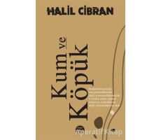 Kum ve Köpük - Halil Cibran - Martı Yayınları
