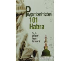Peygamberimizden 101 Hatıra - Mehmet Yaşar Kandemir - Tahlil Yayınları