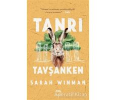 Tanrı Tavşanken - Sarah Winman - Yabancı Yayınları