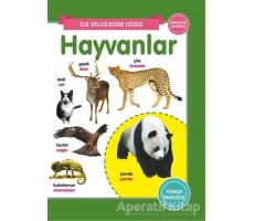 Hayvanlar - İlk Bilgilerim Dizisi - Kolektif - 0-6 Yaş Yayınları