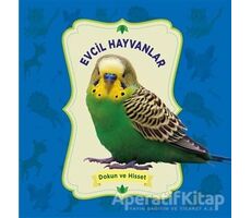 Dokun ve Hisset: Evcil Hayvanlar - Kolektif - 0-6 Yaş Yayınları