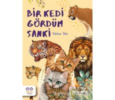 Bir Kedi Gördüm Sanki - Hatice İbiş - Cezve Çocuk