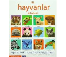 İlk Hayvanlar Kitabım - Kolektif - Parıltı Yayınları