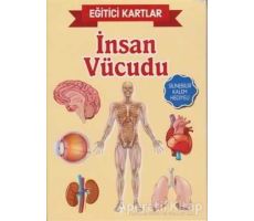 Eğitici Kartlar - İnsan Vücüdu - Kolektif - Teleskop Popüler Bilim