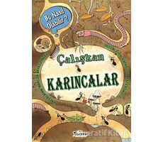 Çalışkan Karıncalar - Bu Nasıl Olabilir? - Marcin Brykczynski - Teleskop Popüler Bilim