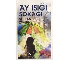 Ay Işığı Sokağı - Stefan Zweig - Anonim Yayıncılık