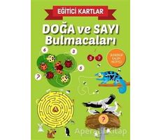 Doğa ve Sayı Bulmacaları - Eğitici Kartlar - Kolektif - Teleskop Popüler Bilim