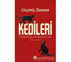 Geçmiş Zaman Kedileri - Fatih Altuğ - Turkuvaz Kitap