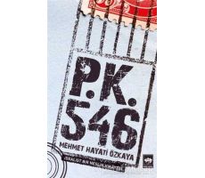 PK 546 - M. Hayati Özkaya - Ötüken Neşriyat