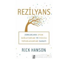 Rezilyans - Rick Hanson - Diyojen Yayıncılık