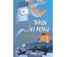 Topun İki Rengi - Güldem Şahan - Tudem Yayınları