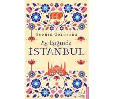 Ay Işığında İstanbul - Sophie Goldberg - Destek Yayınları