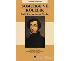 Sömürge ve Kölelik - Alexis de Tocqueville - Ayrıntı Yayınları