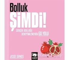 Bolluk Şimdi! - Jesse Sands - Eksik Parça Yayınları