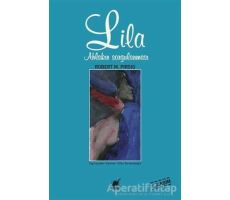 Lila Ahlakın Sorgulanması - Robert M. Pirsig - Ayrıntı Yayınları