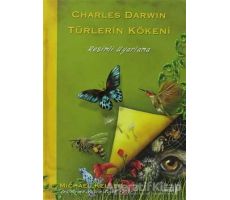 Türlerin Kökeni - Charles Darwin - Versus Kitap Yayınları