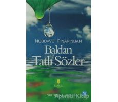 Nübüvvet Pınarından Baldan Tatlı Sözler - Nureddin Yıldız - Tahlil Yayınları