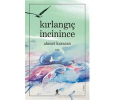 Kırlangıç İncinince - Ahmet Karacan - Roza Yayınevi