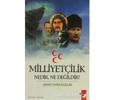 Milliyetçilik Nedir, Ne Değildir? - Ahmet Köklügiller - IQ Kültür Sanat Yayıncılık