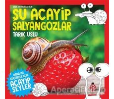 Daha da Küçükler İçin Şu Acayip Salyangozlar - Tarık Uslu - Uğurböceği Yayınları