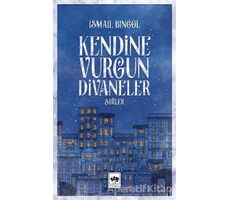 Kendine Vurgun Divaneler - İsmail Bingöl - Ötüken Neşriyat