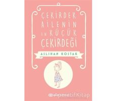 Çekirdek Ailenin En Küçük Çekirdeği - Aslıhan Kostak - Epsilon Yayınevi