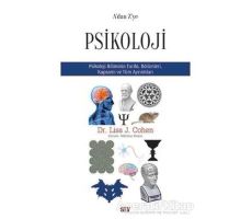 Adan Zye Psikoloji - Lisa J. Cohen - Say Yayınları