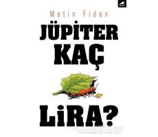 Jüpiter Kaç Lira? - Metin Fidan - Kara Karga Yayınları