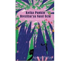 Kolka Pankin Brezilya’ya Nasıl Uçtu - Daniil Harms - Nesin Yayınevi