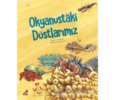 Okyanustaki Dostlarımız - Hui-jeong Yun - Erdem Çocuk