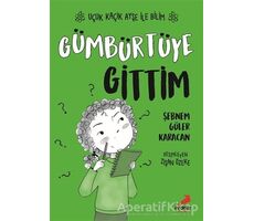 Gümbürtüye Gittim – Uçuk Kaçık Ayşe ile Bilim 2 - Şebnem Güler Karacan - Erdem Çocuk