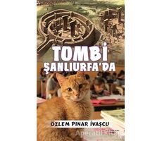 Tombi Şanlıurfa’da - Özlem Pınar İvaşcu - Sokak Kitapları Yayınları