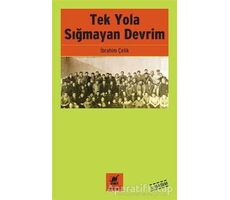 Tek Yola Sığmayan Devrim - İbrahim Çelik - Ayrıntı Yayınları